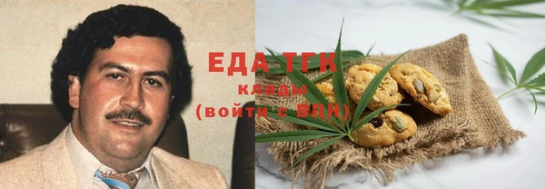 гашик Бронницы