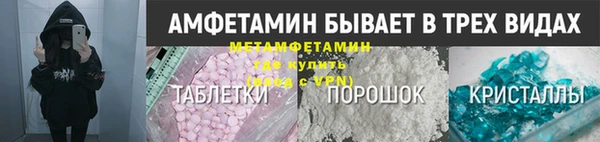 прущие грибы Верхний Тагил
