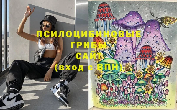 прущие грибы Верхний Тагил