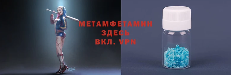 прущие грибы Верхний Тагил