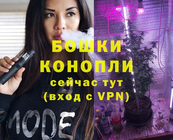 прущие грибы Верхний Тагил