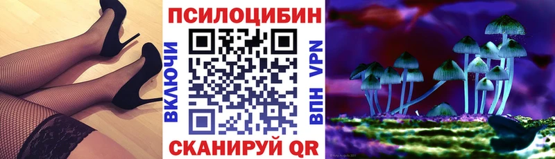 Галлюциногенные грибы Cubensis Воскресенск