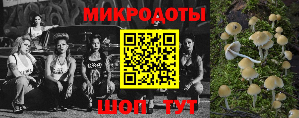 Псилоцибиновые грибы MAGIC MUSHROOMS  Вход с VPN  Воскресенск  Галлюциногенные грибы мухоморы 
